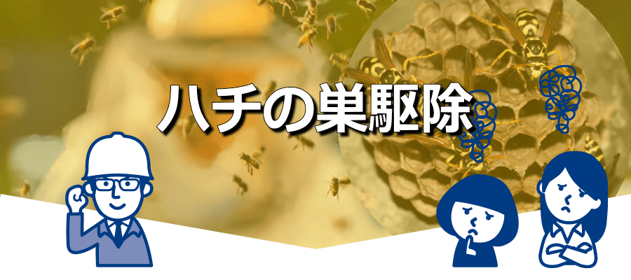ハチの巣駆除